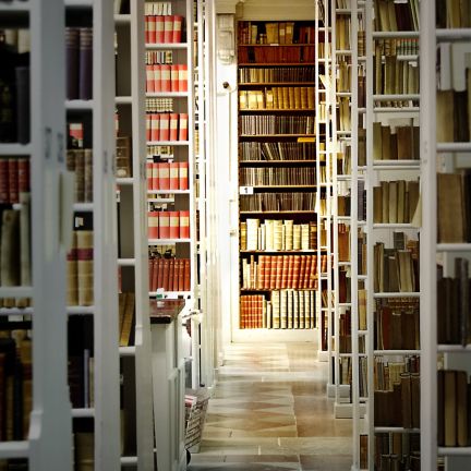 A view from a research library