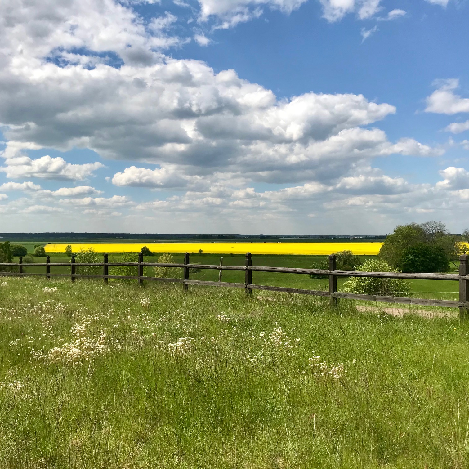 Summer view